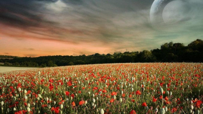 如何看待华人派遣赴日it彻底崩了？